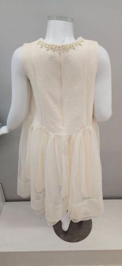 صورة فستان بيج نفاش أنيق مع الؤلؤ على العنق